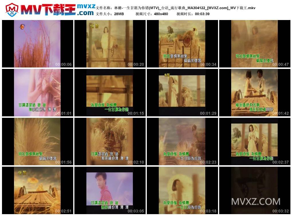 林姗-一生甘愿为你错(MTV)_台语_流行歌曲_MA304122